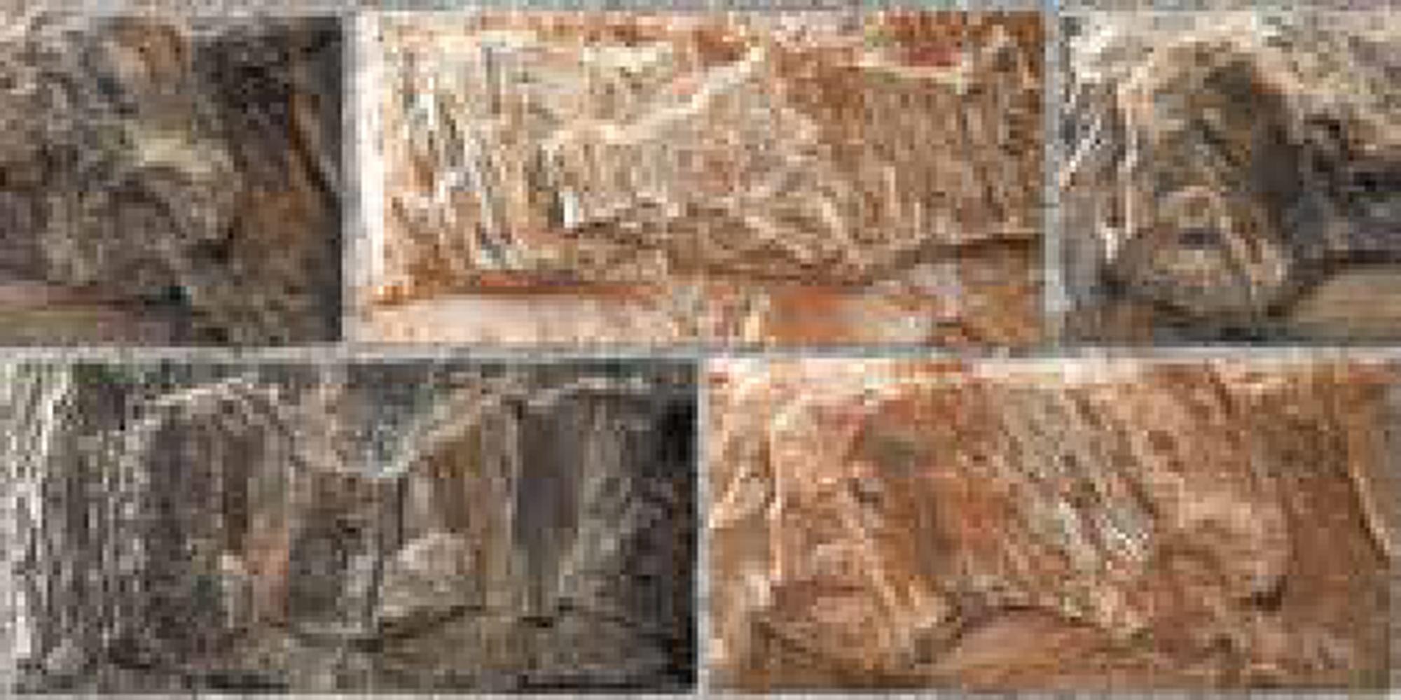 Goodwill Ceramic Wall Tile Earth Stone / Terracotta Glossy, 250 x 500 mm