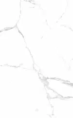 Goodwill Ceramic Wall Tile Statuario White / Grey Glossy,