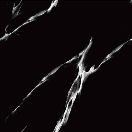 Goodwill Ceramic Floor Finishing Tile Ash Grey Super Polished, 600 x 600 mm