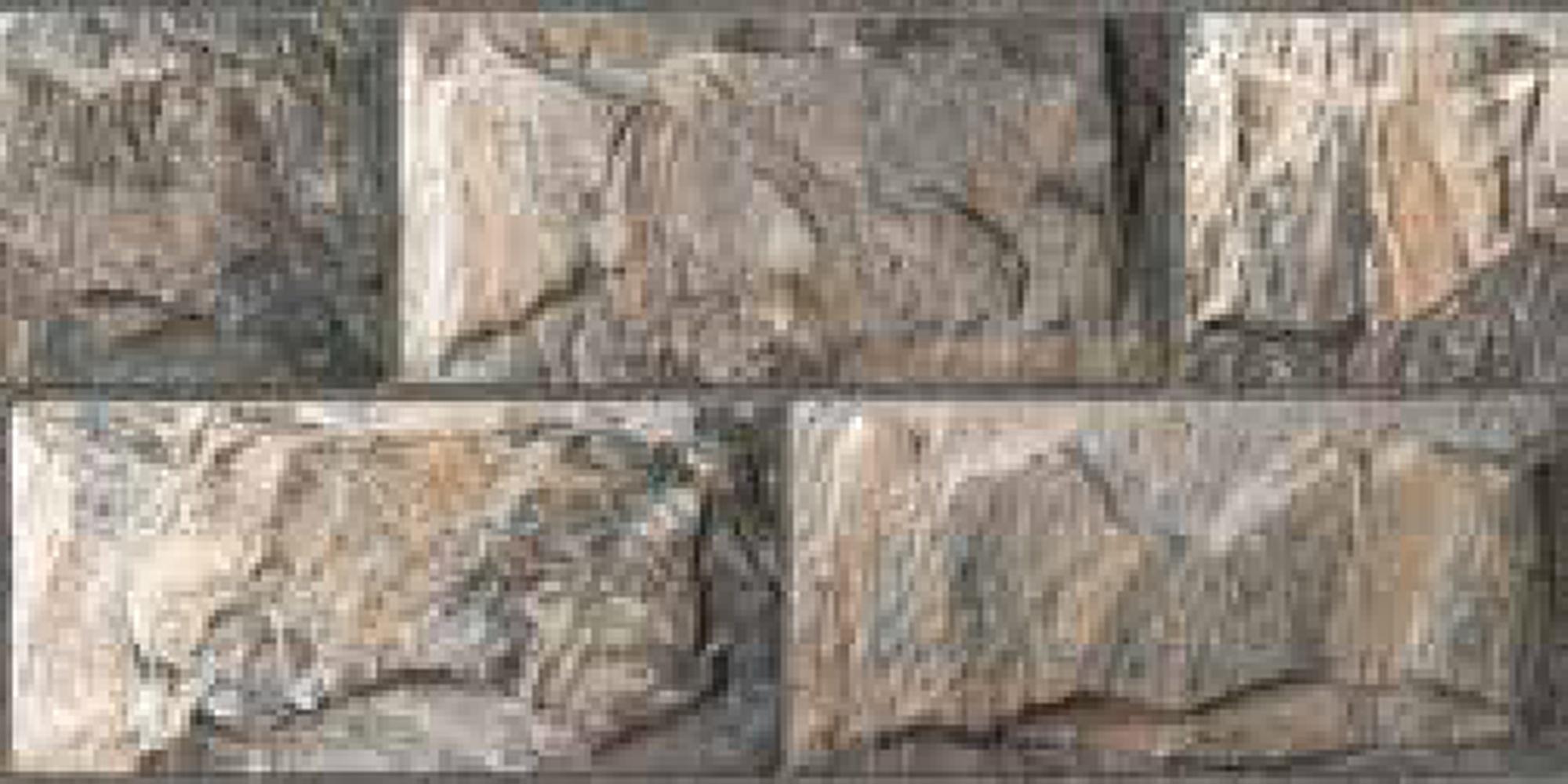 Goodwill Ceramic Wall Tile Natural Stone Grey / Brown Glossy, 250 x 500 mm