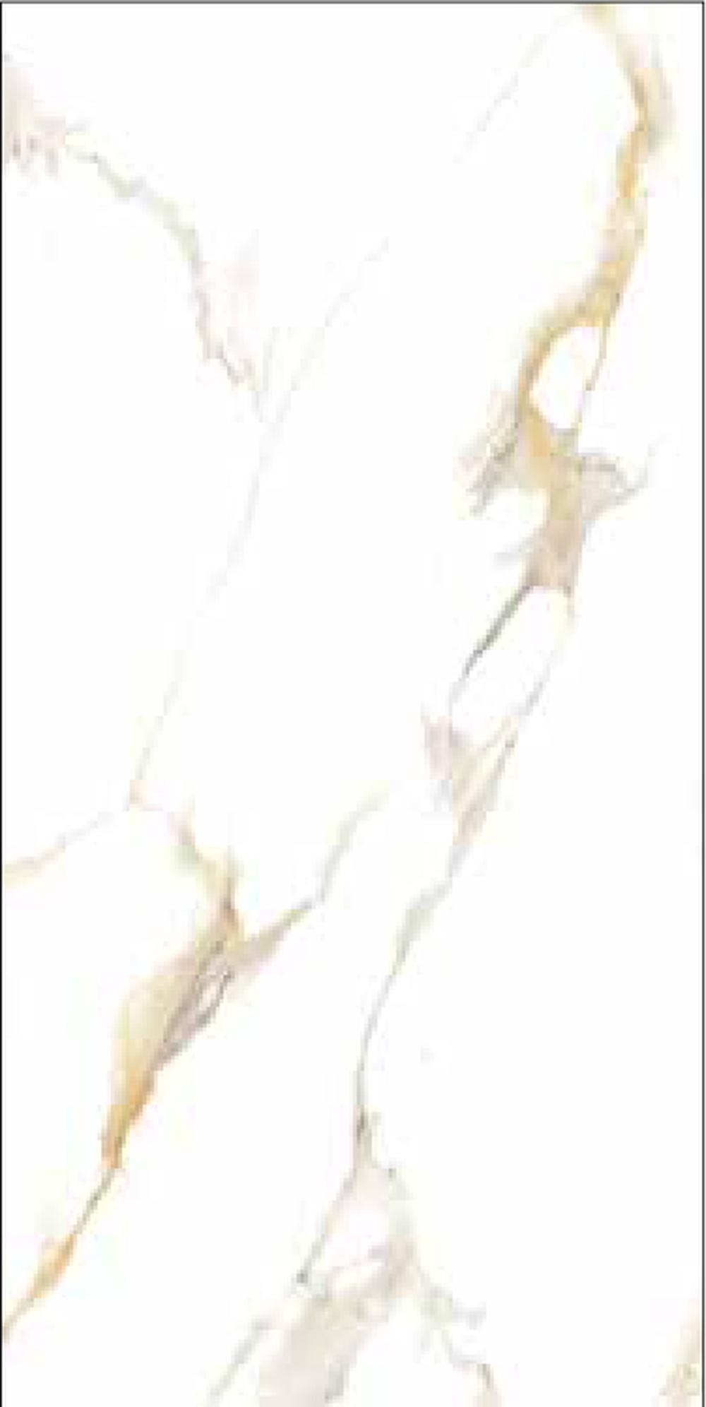 Goodwill Ceramic Floor Tile Calacatta Gold Polished, 600 x 1200 mm